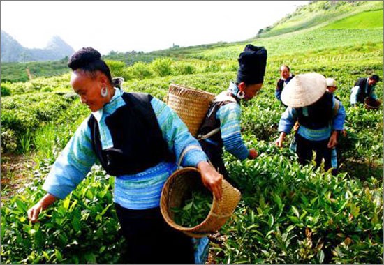 Menschenrechte in Vietnam haben sich verbessert - ảnh 1